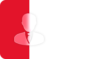 it консалтинг