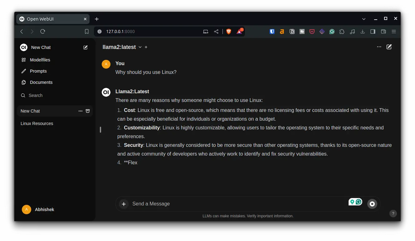 Интерфейс open WebUI