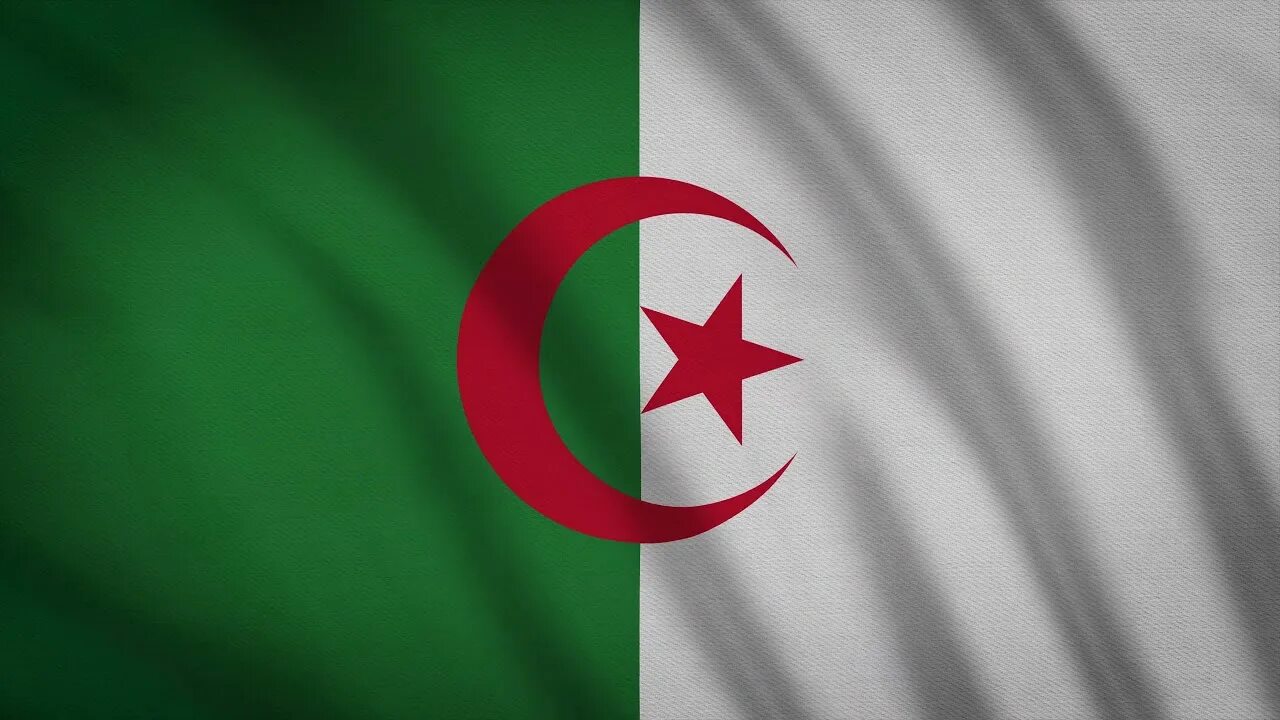 MapNT встретилась с Алжирским бизнесом