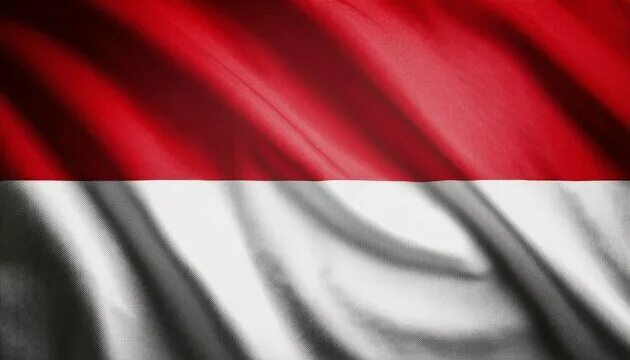 MapNT встретилась с индонезийским бизнесом